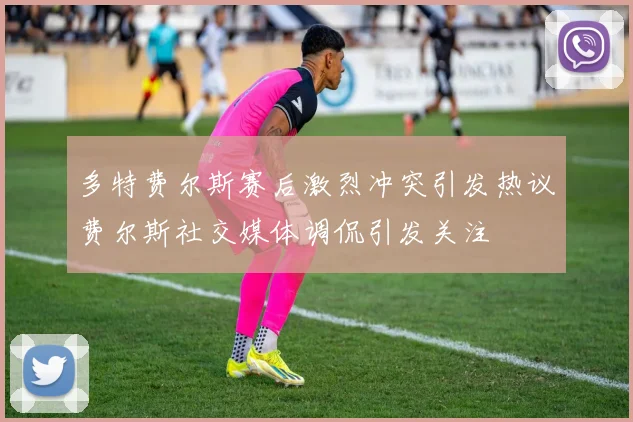 多特费尔斯赛后激烈冲突引发热议费尔斯社交媒体调侃引发关注