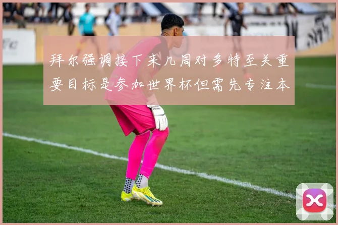 拜尔强调接下来几周对多特至关重要目标是参加世界杯但需先专注本赛季表现