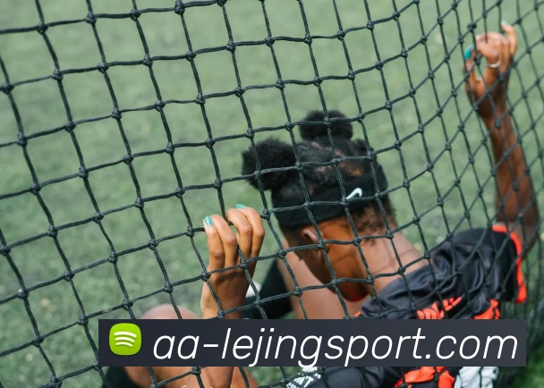 乐竞体育平台生态图